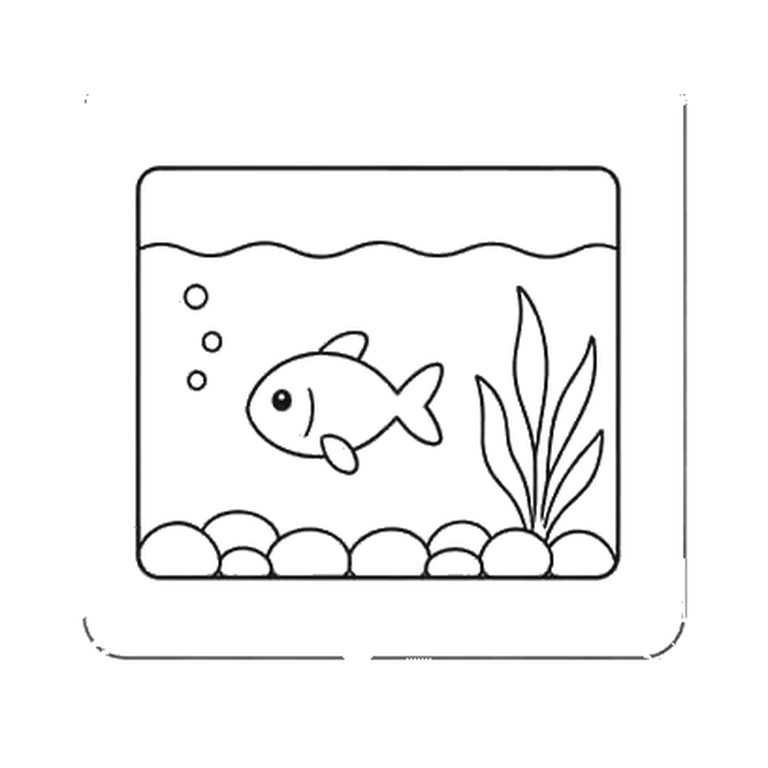 Contorno final de Acuario
