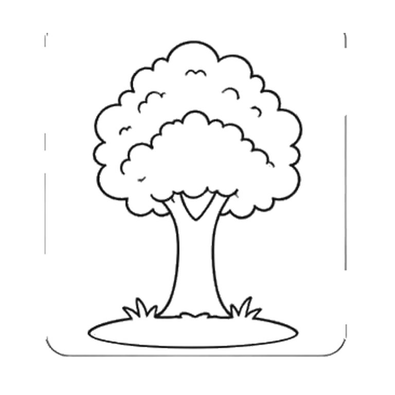 Contorno final de Árbol