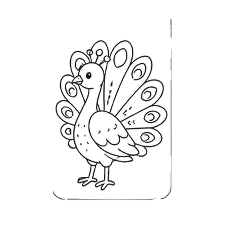 Contorno final de Pavo real