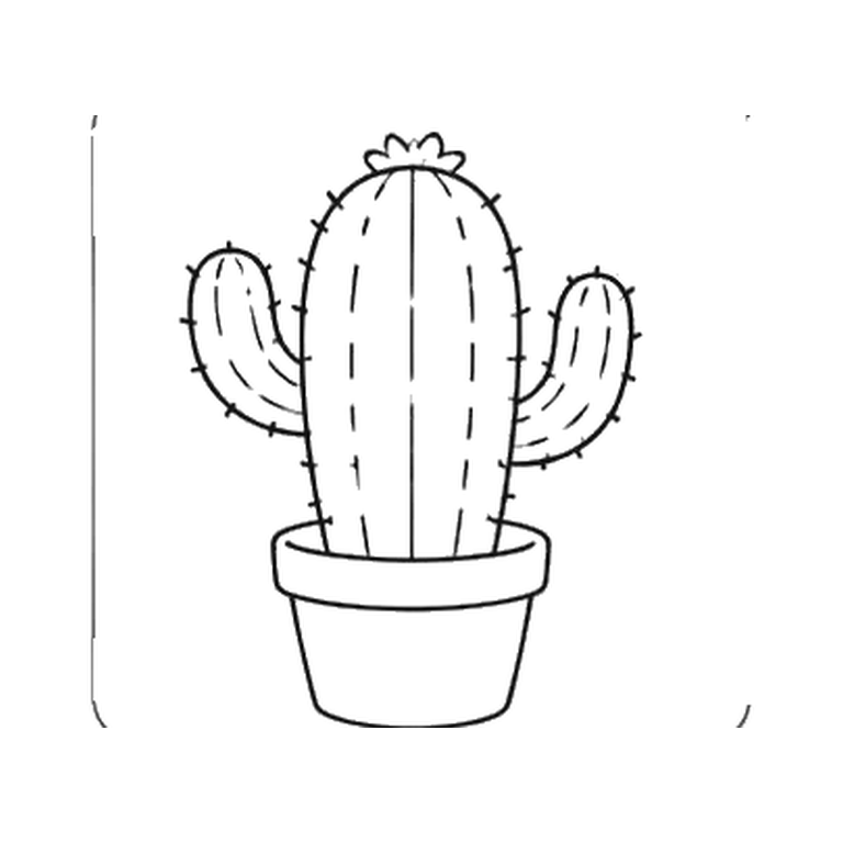 Contorno final de Cactus