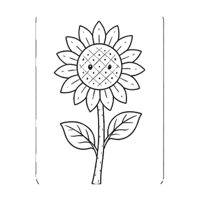 Contorno final de Girasol