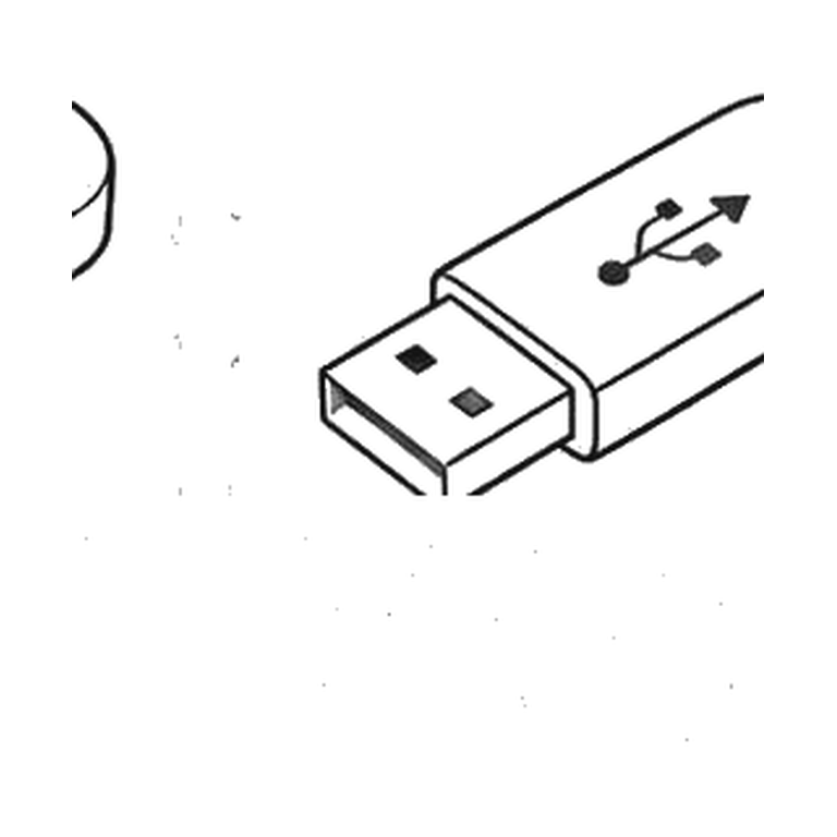 Contorno final de Memoria USB